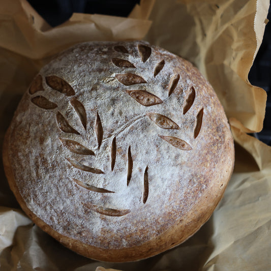 Plain Sourdough Loaf Recipe